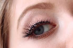 The best false lashes for national lash day: Review Ardell Lashes From Lashaddict Nl Lily Like Blog