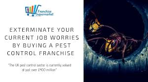 What do pest control businesses do? Starting A Pest Control Business