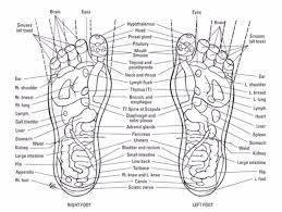 31 Printable Foot Reflexology Charts Maps Template Lab