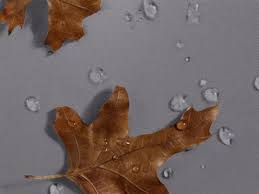 Image result for Charcoal 1982 Dodge Truck