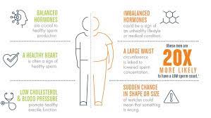 Pin On Infertility Solutions From Trak