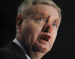 Doug taylor shared a post to the group: Lindsey Graham Gifs Primo Gif Latest Animated Gifs