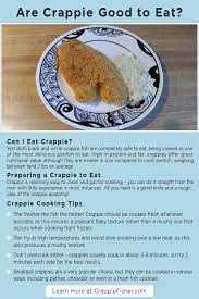 Are Crappie Good To Eat Yes Both Black And White Crappie Fish Are Completely Safe To Eat Being Viewed As One Of The Most Del Eat Non Processed Foods Crappie