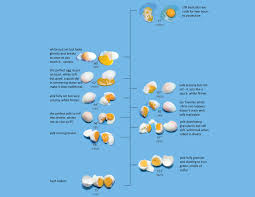 Sous Vide Egg Chart 1 Hour At These Times In 2019