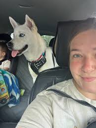 Stubborn husky won't move for vacuum