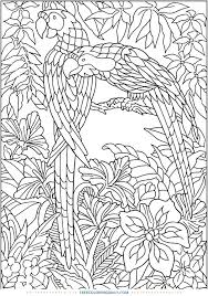 Free Jungle Coloring Page Jungle Coloring Pages Bird Coloring Pages Mandala Coloring Pages