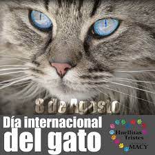 Así como el perro tiene su propio día, el gato también, sólo que a diferencia de los lomitos, los michis tienen hasta tres fechas para celebrar.que existan diferentes días para conmemorar a estos tiernos animales, puede confundir a las personas y la pregunta que siempre surge es ¿por qué hay tres días para festejar a los gatos?. Mar 777 On Twitter 8 De Agosto Dia Internacional Del Gato