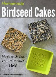 homemade birdseed cakes with you do it suet