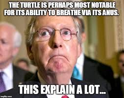 My contribution to the mcconnell meme. Mitch Mcconnell Imgflip