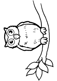 Epingle Sur Coloriages D Oiseaux
