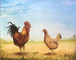 Exklusive produkte aus der rhode island kollektion jetzt bei mybestbrands! Rhode Island Red Chickens Are Renowned For Their Hardiness In Any Type Of Environment A Great Dual Purp In 2020 Rhode Island Red Chickens Rhode Island Red Red Chicken