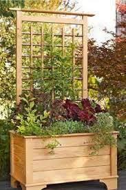 Www.bensound.com or royalty free music from bensound. Quand Nous Possedons Un Jardin Nous Aimons Bien Avoir Quelques Plantes Grimpantes Ici Et La Or Pour Les Faire Pous Tuin Met Overkapping Tuin Ideeen Planters