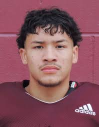 HS FOOTBALL: Young named District 2-6A MVP, Legacy dominates honors