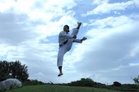 Jumping High Kick Karate Styles Martial Arts High Jump