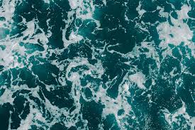 Cada uno de los fondos de pantalla full hd son gratis. Parte Superior Ver Foto Agua De Mar Fondo De Pantalla 4k Fondo De Pantalla Hd Oceano Mar Vista Superior Piqsels