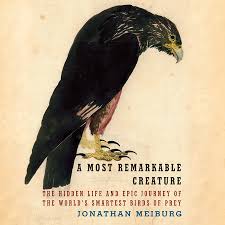 Jun 15, 2021 · 'golden age' of tracking birds hailed. A Most Remarkable Creature By Jonathan Meiburg 9781101875704 Penguinrandomhouse Com Books