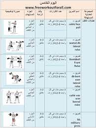 افضل جدول تمارين كمال الاجسام image arm workout december holidays
