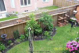 In The News Cat Playground Outdoor Outdoor Cats Outdoor Cat Enclosure