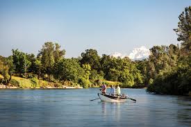 Big chico creek is to the left, indian fishery straight ahead and pine creek is to the right. The Sacramento River Is Still California S Healthiest Trout