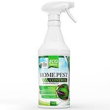Kills the whole colony of ants. Our Favorite Pet Safe Bug Sprays For Home And Lawn