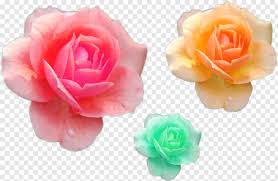 We did not find results for: Green Grass Sakura Flower Green Bay Packers Bouquet Of Roses Green Check Mark Pink Flower 958430 Free Icon Library