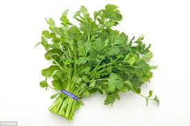 Maybe you would like to learn more about one of these? Why Coriander Can Taste Like Soap Genes For Smell And Bitterness Explain Why Some People Love And Others Hate The Herb Daily Mail Online