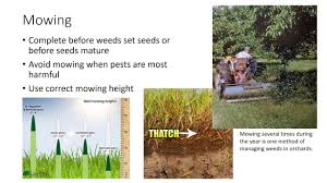 Biological pest control, mechanical pest control, physical pest control, elimination of breeding grounds, poisoned bait, field burning, hunting, traps, pesticides, sterilization, destruction of infected plants and natural rodent control are the various kinds of pest control that are used by the. Ipm Mechanical And Physical Pest Control Youtube