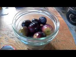 Preparation Des Olives Noires Pour L Apero Youtube