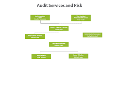 organization chart audit services vice president finance