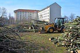 57% der deutschen haushalte zur miete, davon ein großteil in. Fluwo Genossenschaft Bereitet Bau Von Wohnungen In Dresden Vor