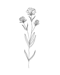 Birth Month Flowers Carnation January Simple Flower Tattoo Carnation Tattoo Carnation Flower Tattoo