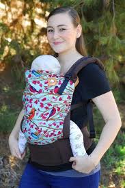 Sweet Songs Tula Tula In The Know Tula Baby Carrier Ergonomic Baby Carrier Toddler Carrier