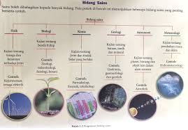 Berikut adalah beberapa bidang pengajian yang boleh anda ikuti melalui program asasi sains: Sains Sebahagian Daripada Kehidupan Seharian