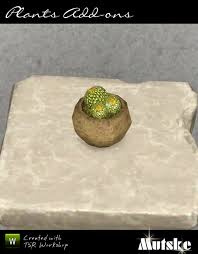 You will find that there are a few other names people know it by; Mutske S Cactus Plant