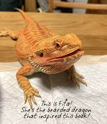 Coloring and drawing fun for children and adults! Bearded Dragon Daydreams Coloring Book Bilingual Monkeys