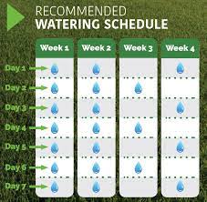 Recommendations for watering after aeration and seeding. Bigyellowbag Overseeding Bundle Fall Is The Perfect Time