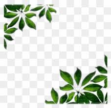 Another offering from microsoft's collection, you can use this border to add fiery leaves. Leaves Png Images Transparent Free Green Leaf Border Png Free Transparent Png Clipart Images Download