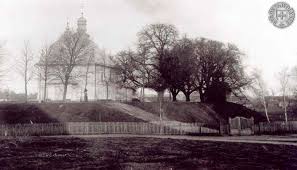 Znalezione obrazy dla zapytania torczyn