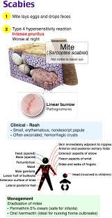 Pin On Infectious Disease