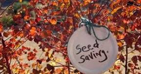 Central Sierra: Seed Saving | El Dorado County