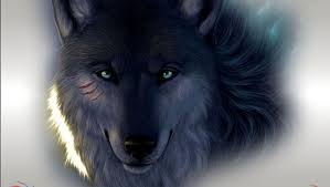 Welcome stranger, you can login. Black Wolf Wallpaper Wolf Wallpaper Hd Wolf Wallpaper