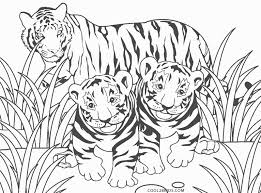 Then you can paint the tiger beautiful. Free Printable Tiger Coloring Pages For Kids