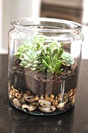 Diy Succulent Terrarium Bower Power Succulent Planter Diy Diy Succulent Terrarium Succulents Diy