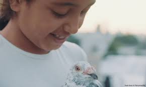 Filmschau BW in den Innenstadtkinos Stuttgart