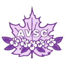 We did not find results for: History Avsc Ca