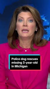 A police dog helped rescue a 3-year-old boy in #Michigan who climbed out of  a window at his grandmother's home and wandered off. #Police found him  uninjured. #news #policedog #rescue #missing