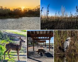 Best of Insight: New State Park Dos Rios | Pet Blood Bank | American River  Trail Guide Mildly Scenic - capradio.org
