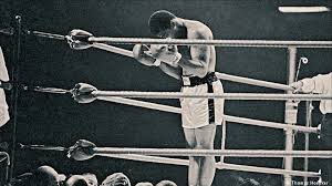 Is it haram to be a boxer / tajik muslim leader declares boxing other sports forbidden / temperament and behavior are also shaped by raising and training. God S Plan And Muhammad Ali Imam Zaid Shakir Muslimmatters Org