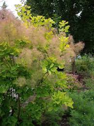 Pin Op Landscaping Ideas