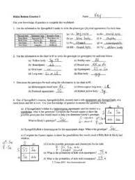 Use the information provided and your knowledge of genetics to answer each question. Bikini Bottom Genetics Review Answer Key Bikini Bottom Genetics Review Answer Key Pdf Pdf4pro